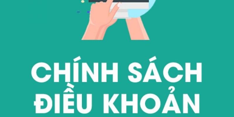 Website có nhiều điều khoản và chính sách quan trọng